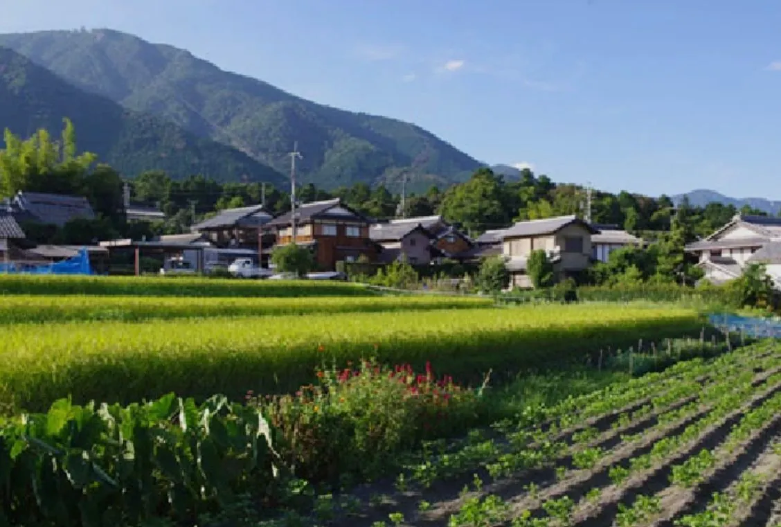 Pueblo rural japonés entre arrozales y montañas al atardecer